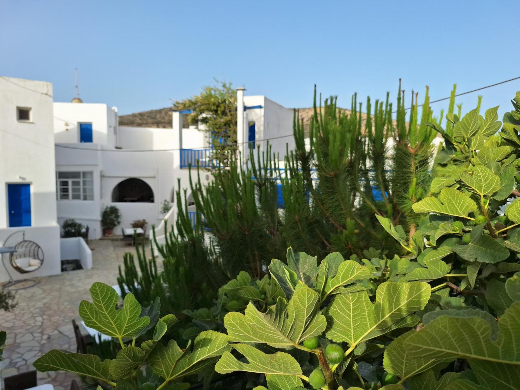 Εvi Evan Hotel Galissas Dış mekan fotoğraf