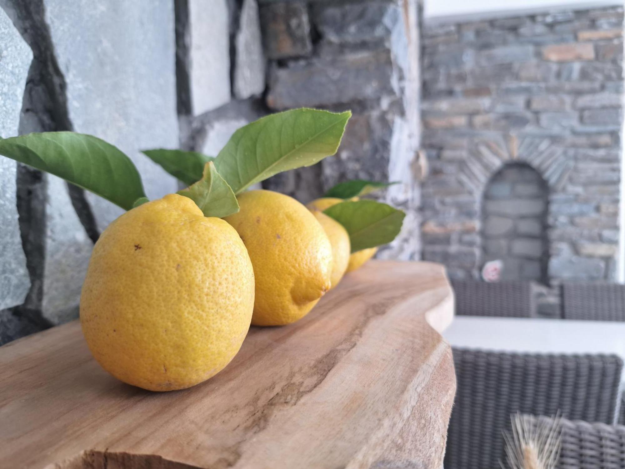 Εvi Evan Hotel Galissas Dış mekan fotoğraf